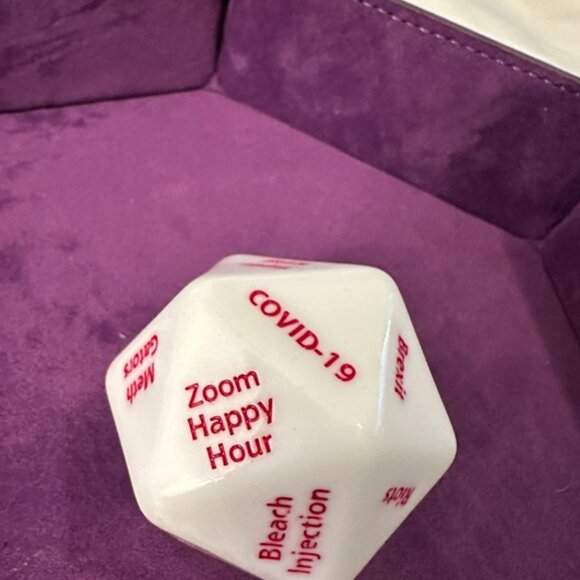 TTRPG Dice Bundle: Collapsible Tray, 2 Dice Bags, & Novelty D"2020" | Near New - Picture 2 of 9